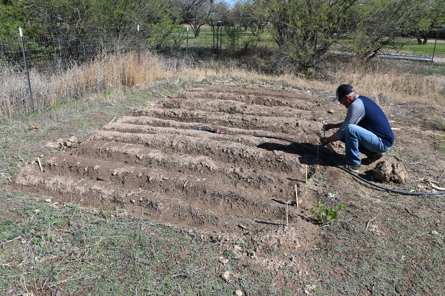 Volunteer Preparing the Garden